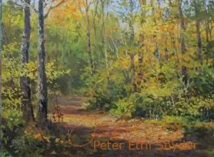 Path in the Woods | Peter Etril Snyder Online Gallery